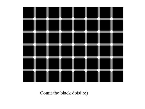 ĺڵ