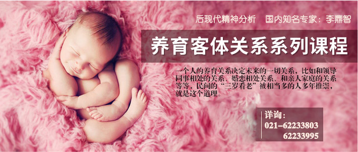关系学说 |【李鼎智】养育客体关系系列课